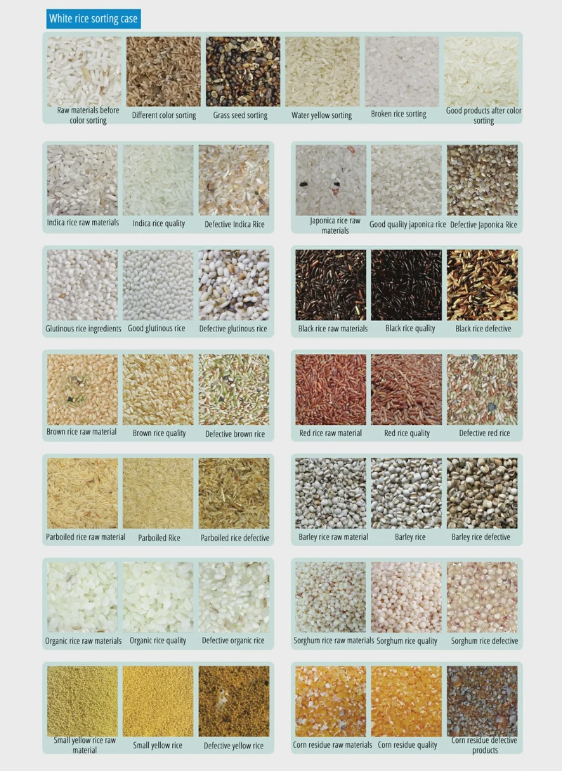 色选机效果展示