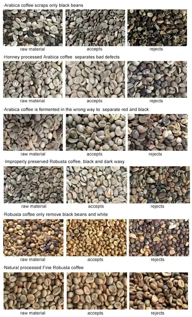 色选机效果展示